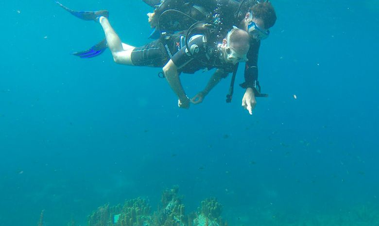 Croisière et plongée sous-marine aux Grenadines