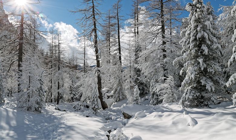 Séjour multi-activités neige dans les Alpes du sud