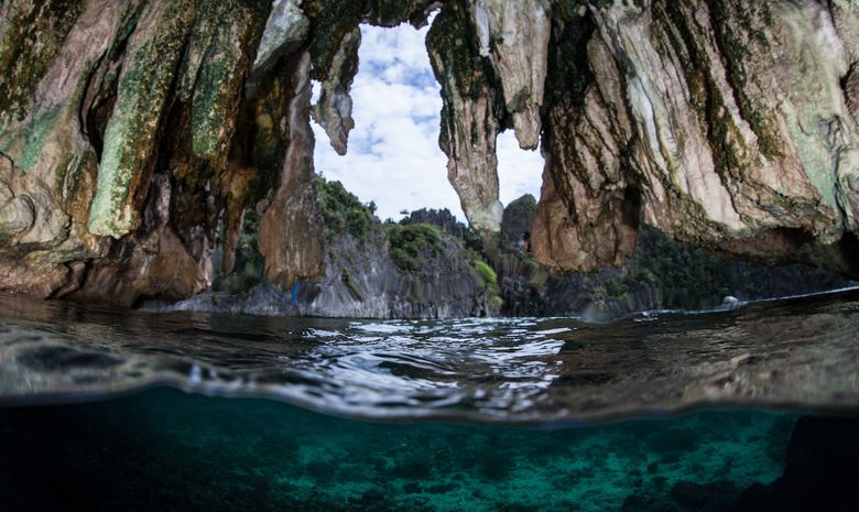 Croisière plongée dans l'archipel des Raja Ampat-3
