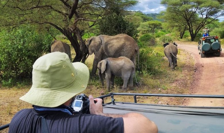Safari au cœur des plus beaux parcs de Tanzanie-11