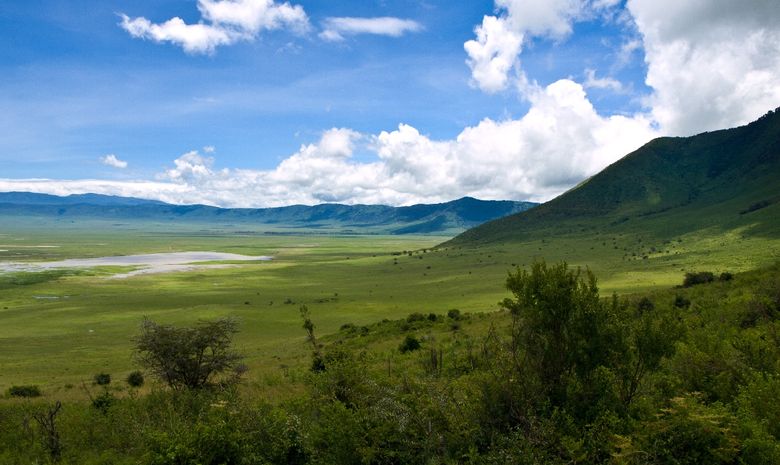 Le Cratère du Ngorongoro