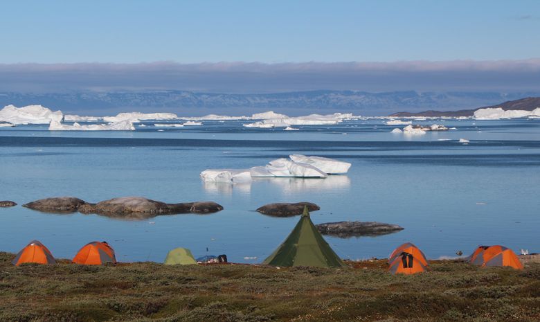 Kayak parmi les géants de glace