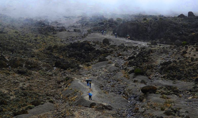 Ascension du Kilimandjaro : Voie Machame