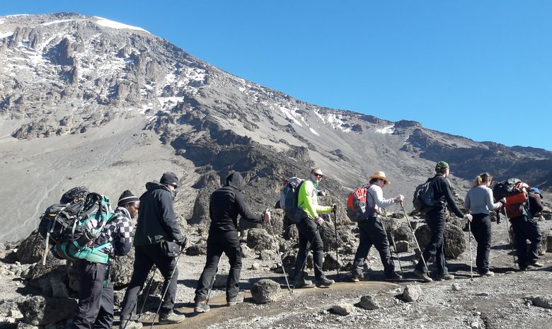 Ascension du Kilimandjaro - Voie Rongai 6 jours