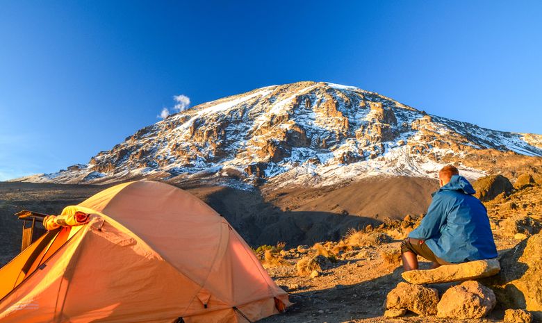 Ascension du Kilimandjaro : Voie Lemosho