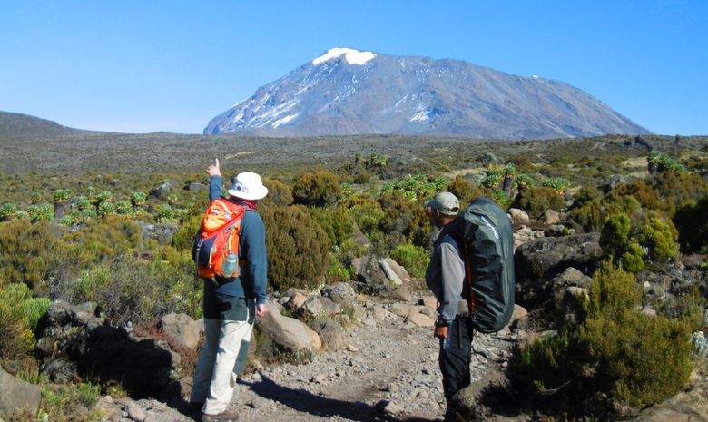 Ascension du Kilimandjaro : Voie Shira