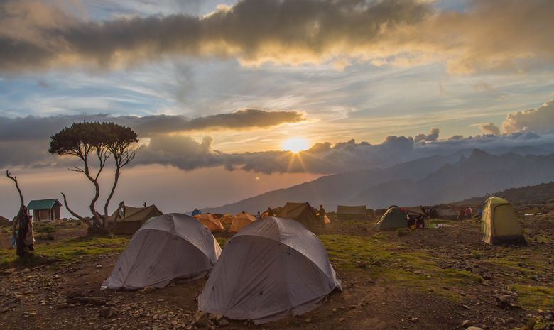 Kilimandjaro, voie Shira – rejoindre un groupe