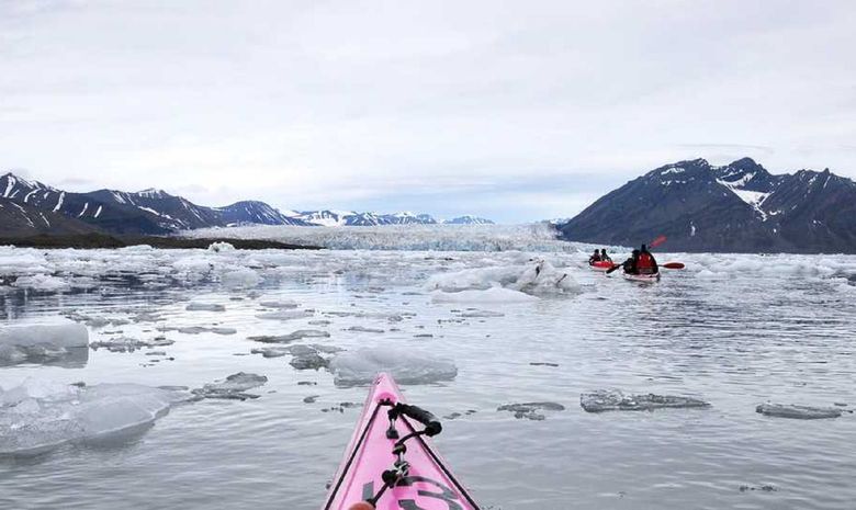 Les 5 glaciers de Spitzberg en kayak et randonnée