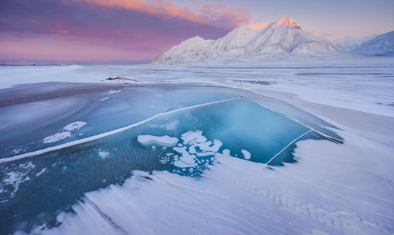 Croisière au Svalbard : Isfjord et côte Ouest