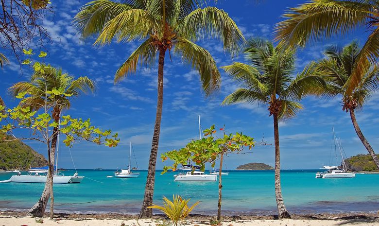 Croisière catamaran privatisé - La Guadeloupe