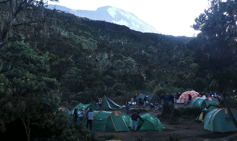 Kilimandjaro : Voie Machamé & Safari au Serengeti 