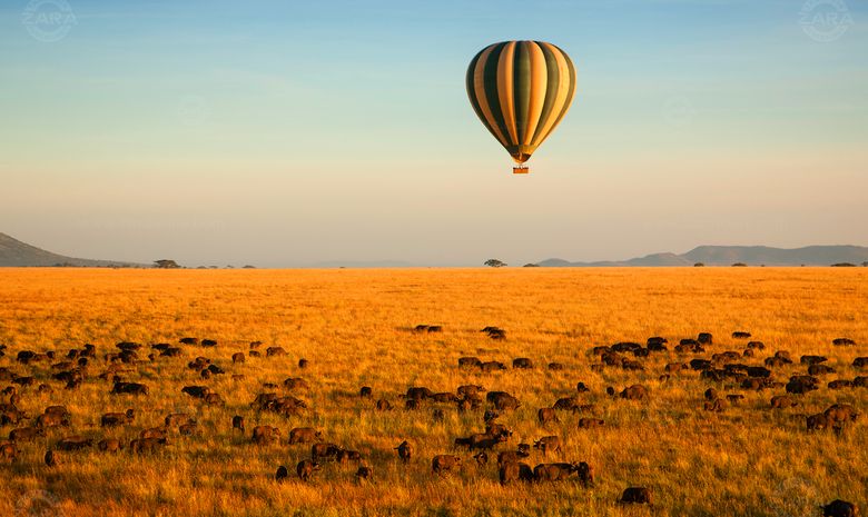 Safari luxe & vol en Montgolfière en Tanzanie