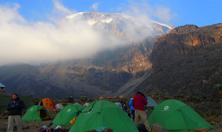 Ascension du Kilimandjaro : Voie Umbwe
