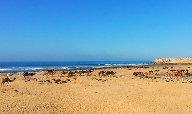 Retraite Yoga sur la plage au sud du Maroc
