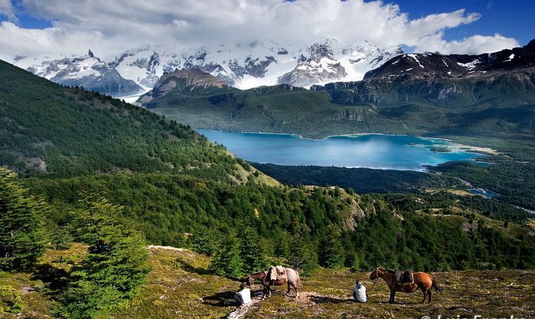 Les Best Of de Patagonie