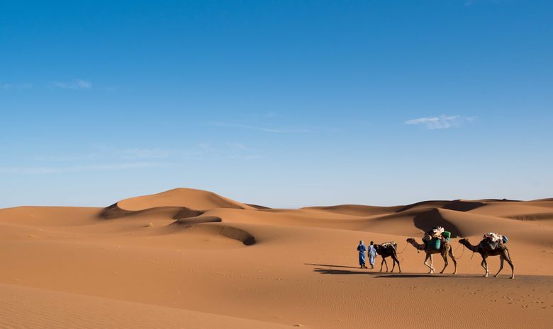 La caravane du désert