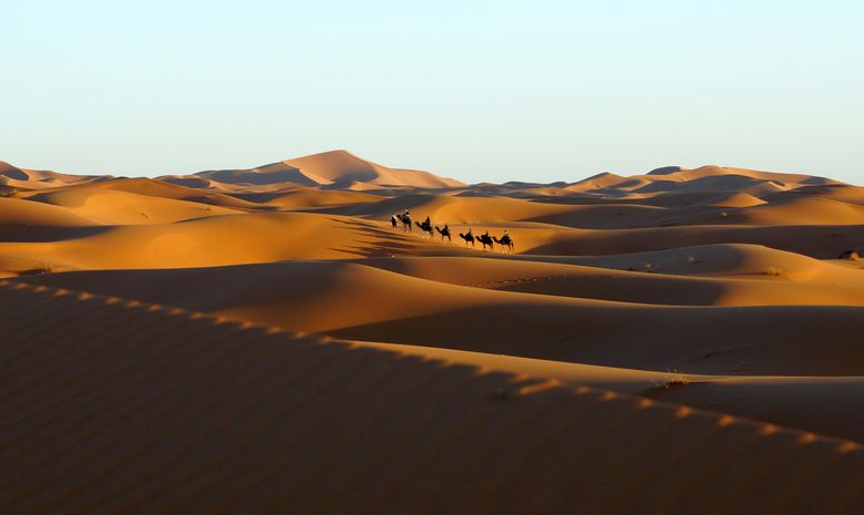 La caravane du désert - trek en groupe
