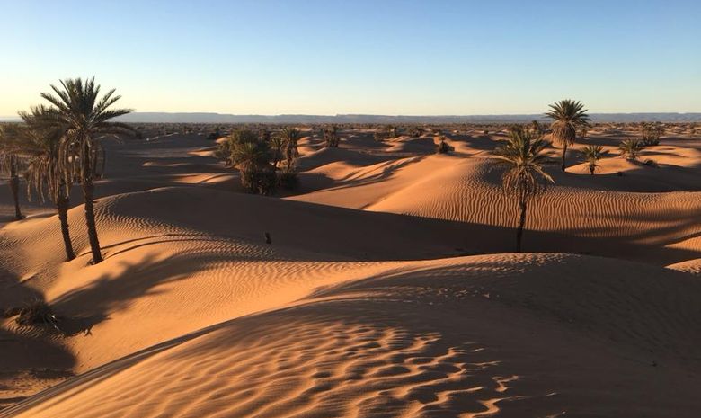 Aux portes du désert