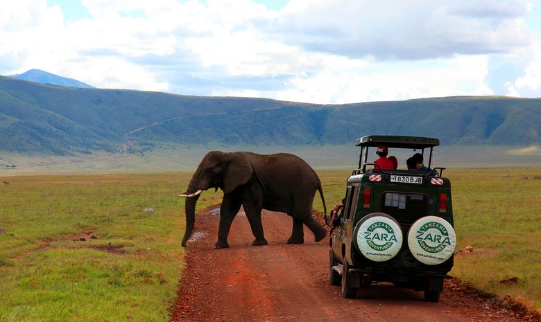 Les Grands Parcs de Tanzanie en Safari Express