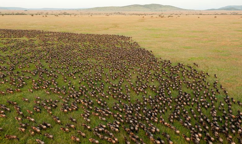 Safari & Trek Sauvage sur les Terres Masai 