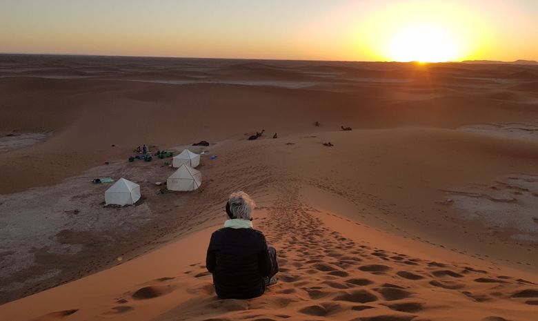Transhumance du désert auprès des nomades berbères
