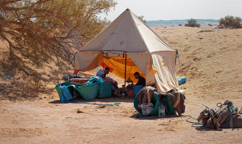 Transhumance du désert auprès des nomades berbères