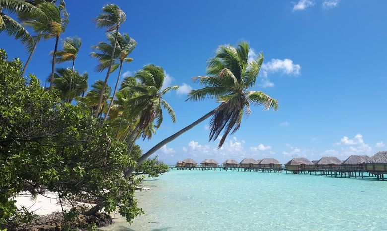 croisière privée aller vers Bora Bora en Bali 4.1