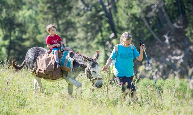 Trek en Corse en famille avec les ânes sans guide