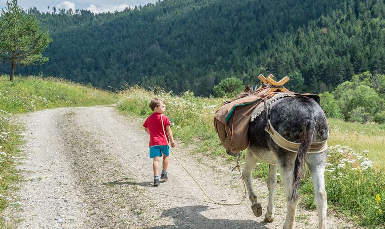 Trek en Corse en famille avec les ânes sans guide
