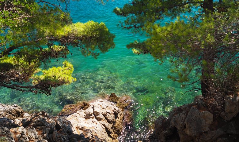Croisière privée en Croatie, îles dalmates - cata Lagoon 40