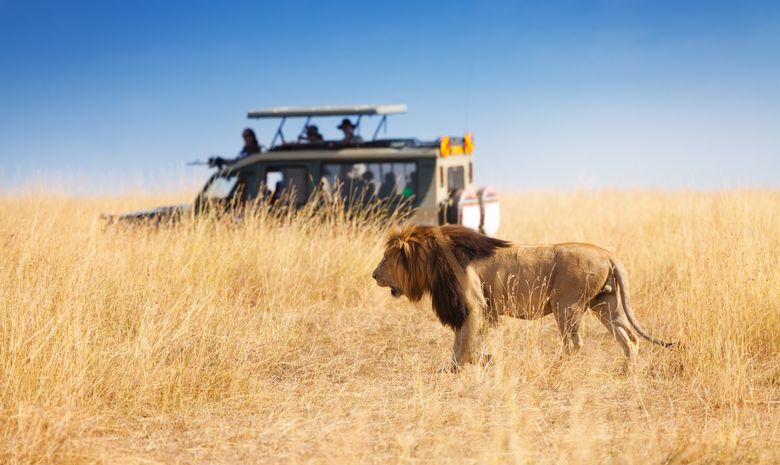 Safari express au Kenya dans les parcs de l'est