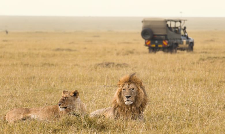 L'Est du Kenya, entre safari et plage en famille