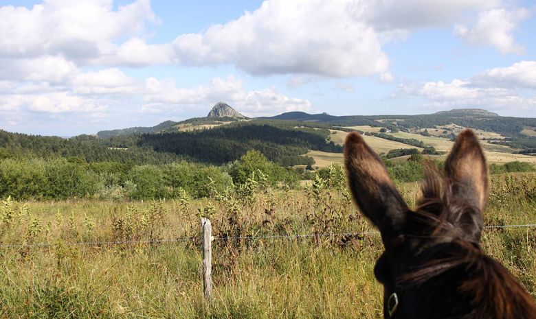 Tour des Monts d'Ardèche avec un âne