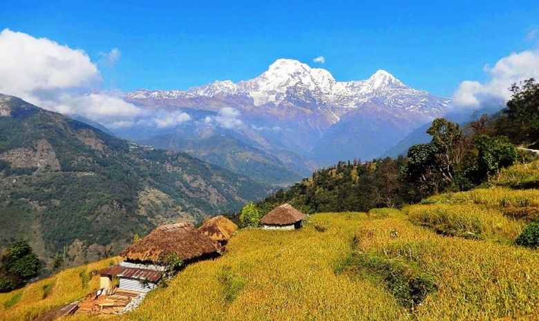 Khopra Trek dans l'Annapurna 