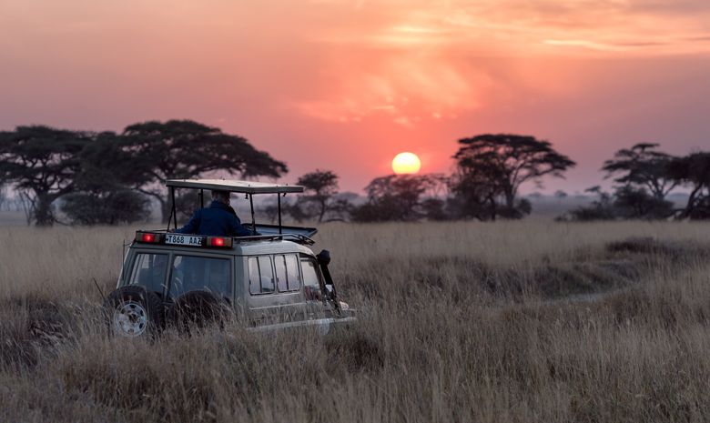 Safari privé dans les grands parcs de la Tanzanie du nord 