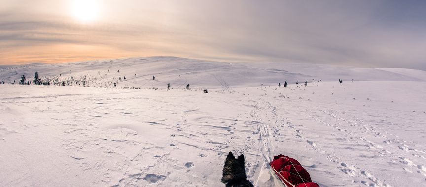Raid à ski raquettes et pulka en Laponie