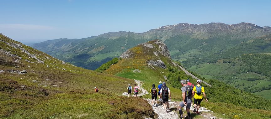 Stage initiation trail dans les Monts du Cantal