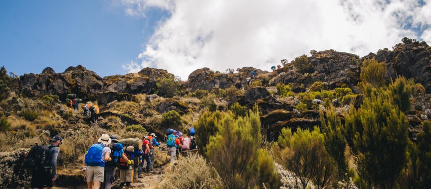 Ascension du Kilimandjaro : Voie Marangu